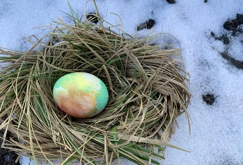 A vibrant Easter egg rests in a nest made of dry grass and surrounded by white Stock Photos