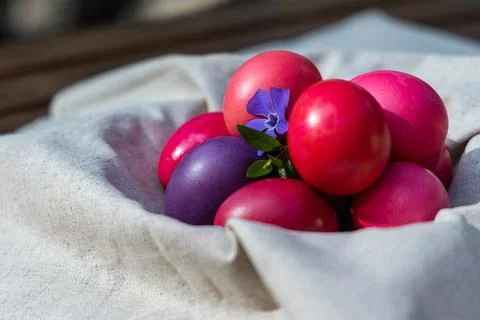 Vibrant Easter Eggs in a Basket With a Sprig of Blossoms Stock Photos