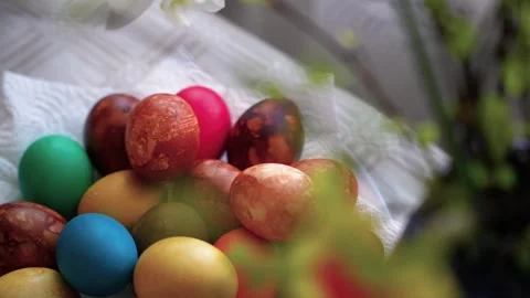 Vibrant Easter Eggs with Blossoming Spring Flowers Stock Footage 333285264