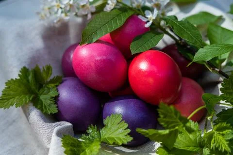 Vibrant Easter Eggs Nestled Among Spring Foliage Stock Photos