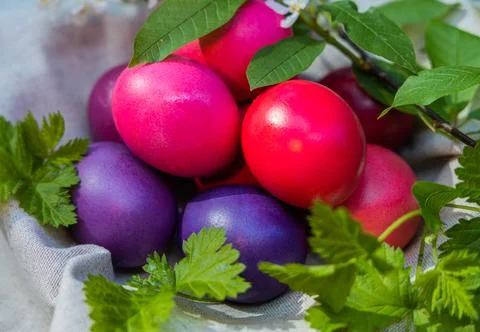 Vibrant Easter Eggs Nestled Amongst Fresh Greenery Stock Photos