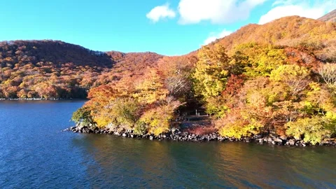 Vibrant Fall Colors | Lake Chuzenji Coast - 4K Aerial Video Stock Footage 329052731