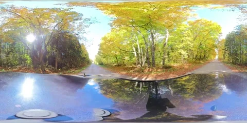 Vibrant Fall Colours in 360 VR Video 库存影片 333644893