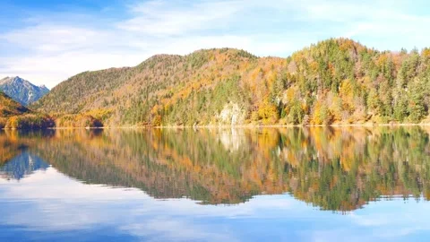 Vibrant fall foliage and deep blue skies over a tranquil bathing lake in the Stock Footage 309091622