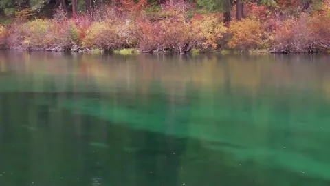 Vibrant Fall Foliage and Floating Leaf on Green Pond Vídeo Stock 346196564