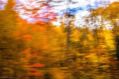 Vibrant fall foliage blurring in motion along a scenic route during autumn .. 스톡 사진