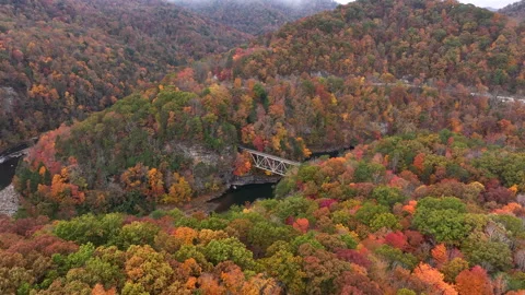 Vibrant Fall Foliage Morning Drone View 스톡 동영상 293843926