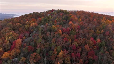 Vibrant Fall Foliage Morning Drone View 스톡 동영상 293844090