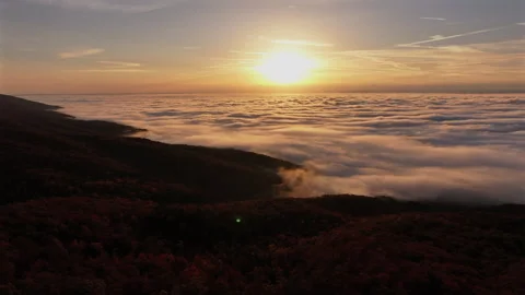 Vibrant Fall Foliage Morning Drone View 스톡 동영상 293844449