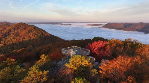 Vibrant Fall Foliage Morning Drone View 스톡 동영상 293844616