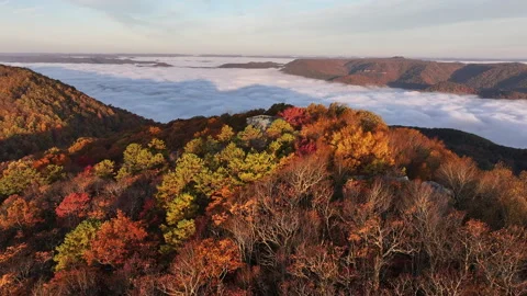 Vibrant Fall Foliage Morning Drone View 스톡 동영상 293844846