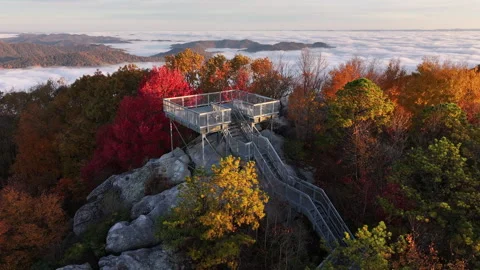Vibrant Fall Foliage Morning Drone View 스톡 동영상 293844859