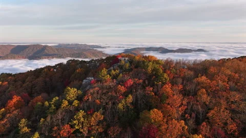 Vibrant Fall Foliage Morning Drone View 스톡 동영상 293844862