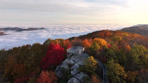 Vibrant Fall Foliage Morning Drone View 스톡 동영상 293845000