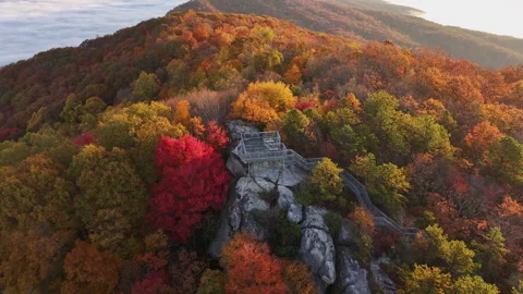 Vibrant Fall Foliage Morning Drone View 스톡 동영상 293845004