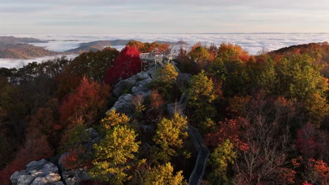 Vibrant Fall Foliage Morning Drone View 스톡 동영상 293845005