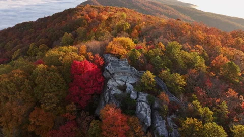 Vibrant Fall Foliage Morning Drone View 스톡 동영상 293845010