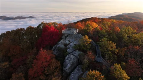 Vibrant Fall Foliage Morning Drone View 스톡 동영상 293845301