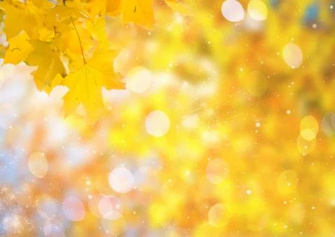 Vibrant fall foliage Stock Photos