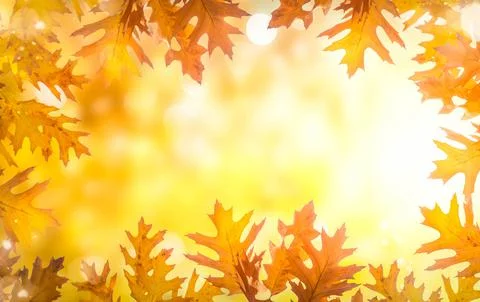 Vibrant fall foliage Stock Photos