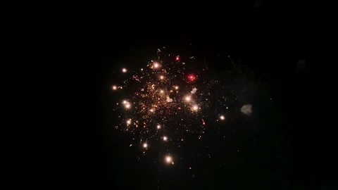 Vibrant festive firework burst against black background Stock Footage 321350329