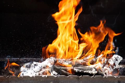 Vibrant fire leaps over burning logs 写真素材