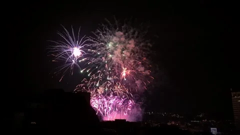 Vibrant firework display illuminates the night sky Vídeos de archivo 335046858