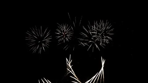 Vibrant Firework Display Lights up the Sky During USAs Independence Day Stock Footage 321952140