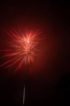 Vibrant firework display in the night sky Foto stock