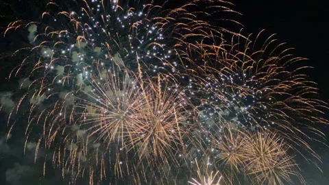 "Vibrant Fireworks Display Illuminating the Night Sky " Stock Footage 340883177