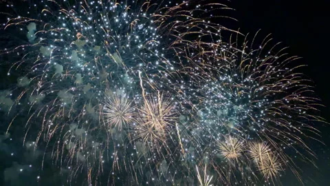 Vibrant Fireworks Display Illuminating the Night Sky Stock Footage 340883402