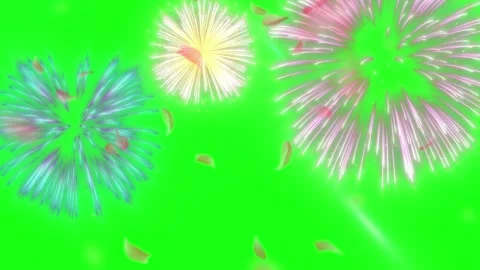 Vibrant fireworks exploding on green screen with petals Stock Footage 337527549