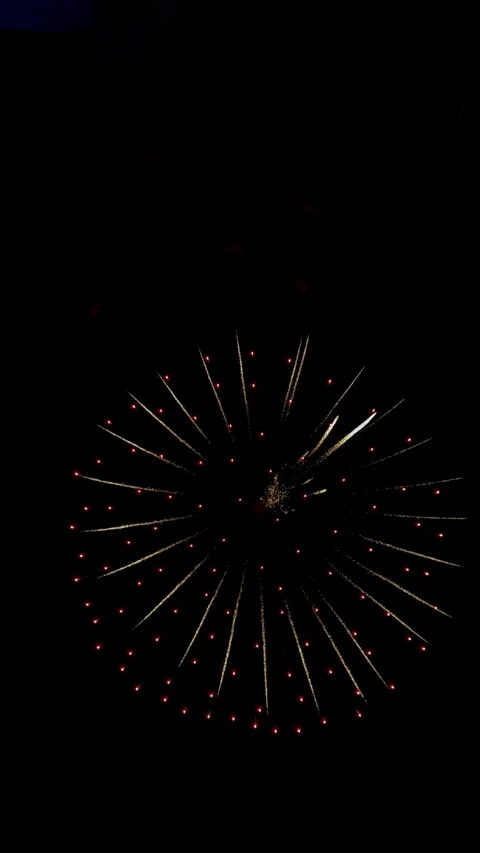 Vibrant fireworks Stock Footage 339109723