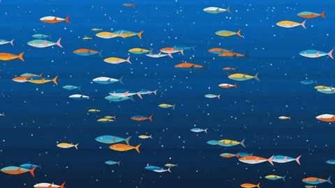 Vibrant Fish in Deep Blue Ocean. Variety of colorful fish swimming in the deep Stock Footage 281905442