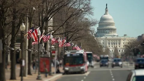 Vibrant Flags Line Street With Traffic Towards US Capitol in Washington 動画素材 314517656