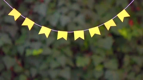 Vibrant Flags in Motion Stock Footage 286879020