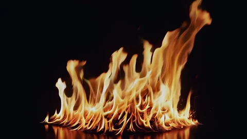 Vibrant flames dancing passionately in the profound darkness, creating a Stock Footage 295891459