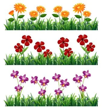 Vibrant Floral Borders with Grass Elements Illustrazione stock