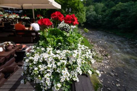 A vibrant floral display frames a tranquil river scene from a restaurant te.. Stock Photos