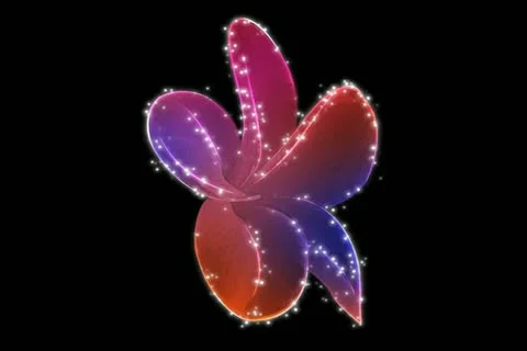 Vibrant Flourish Motion Design Element 04 Stock Footage 10875076