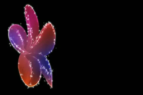 Vibrant Flourish Motion Design Element 04 Widescreen Stock Footage 10875144