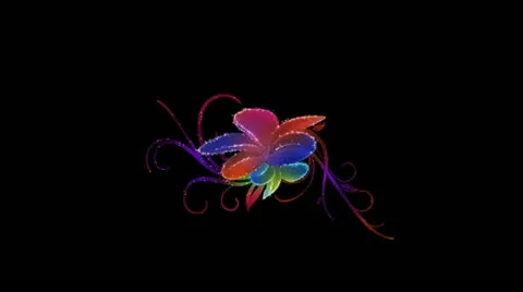 Vibrant Flourish Wipe HD Stock Footage 10875019