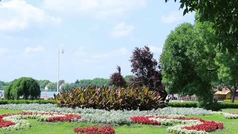 Vibrant Flower Bed and Lush Greenery in Sunny Summer Park 스톡 동영상 334884954