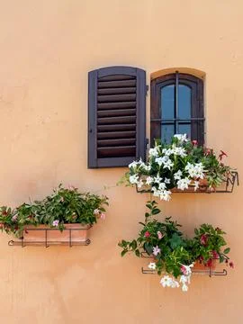 Vibrant Flower Boxes on Rustic Wall with Open Shutter Stockfoto's