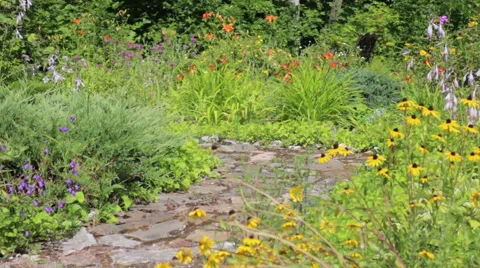 Vibrant flowers along a stone path Stock Footage 40516378