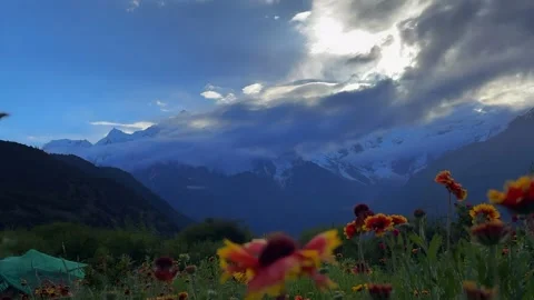 Vibrant Flowers and Dramatic Clouds Over Majestic Snow Mountains Tibet China Stock Footage 339649721
