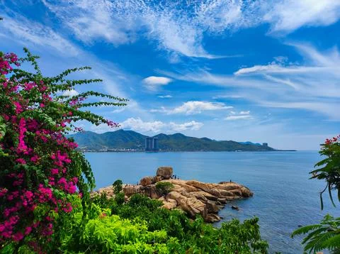 Vibrant flowers frame a view of the ocean and mountains under a bright blue s Stock Photos