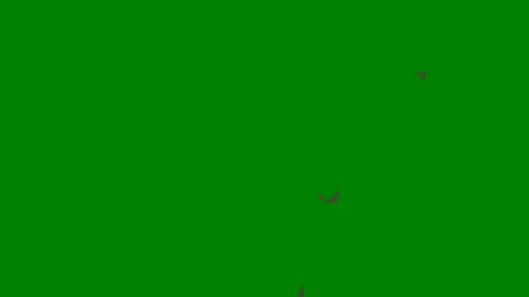 A vibrant fluid motion effect on green screen perfect for adding smooth Stock Footage 301386840