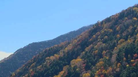 Vibrant Foliage on Steep Ridge Stock Footage 346195703