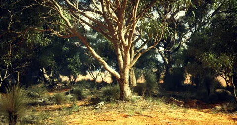 Vibrant forest landscape showcasing a large tree in a sunny environment Видео 308669513